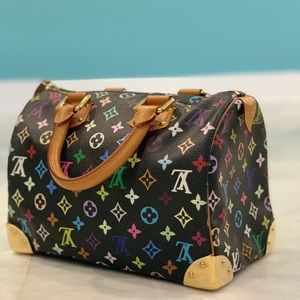 LV Like New Speedy 30 Multicolor W/Tags & Felt Bag